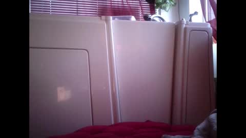 Snapshot of mariahjsav95 chatting on February 12, 2025, 2:54 pm MariahJade95 online show from February 12, 2025, 2:54 pm