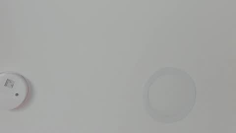 Snapshot of mariapettit chatting on February 18, 2026, 11:17 am Maria Pettit online show from February 18, 2026, 11:17 am