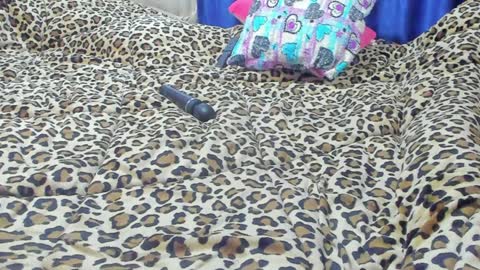 Marie   online show from January 23, 2025, 1:56 pm