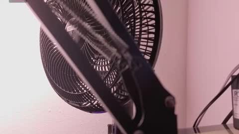 marla online show from March 12, 2026, 11:27 am