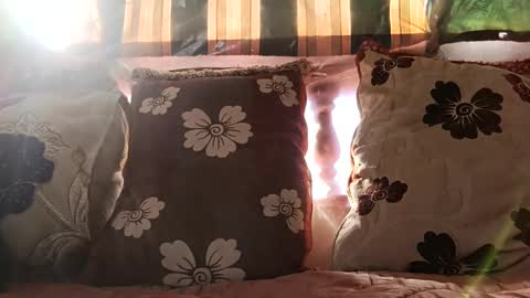 Snapshot of marocreda33 chatting on December 24, 2024, 11:17 am marocreda33 online show from December 24, 2024, 11:17 am