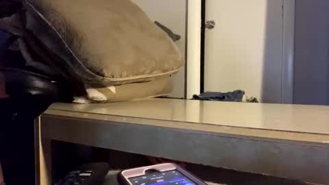 Snapshot of martasub chatting on December 15, 2025, 4:11 pm martasub online show from December 15, 2025, 4:11 pm