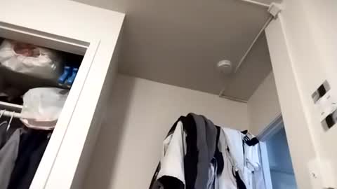 Snapshot of marty74841 chatting on February 7, 2026, 4:11 pm marty74841 online show from February 7, 2026, 4:11 pm