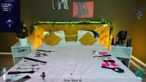 Snapshot of mary_xextra chatting on December 31, 2024, 1:04 am Mary GTM3Mon Wed Thu Sat Sun 0400 am-1030pm online show from December 31, 2024, 1:04 am
