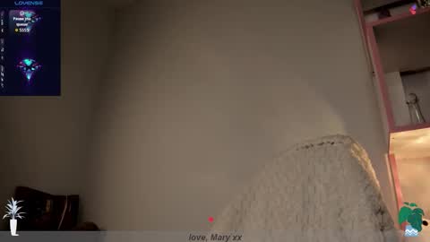 Snapshot of mary_xextra chatting on November 24, 2025, 1:05 am Mary GTM3Mon Wed Thu Sat Sun 0400 am-1030pm online show from November 24, 2025, 1:05 am