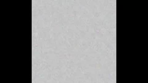   online show from October 3, 2025, 11:40 am