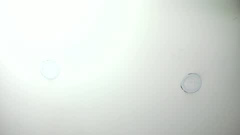 Snapshot of mashapink chatting on April 7, 2026, 12:38 pm MashaPink online show from April 7, 2026, 12:38 pm