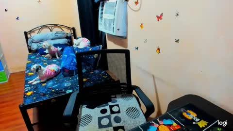 kimmy online show from March 4, 2025, 3:33 am