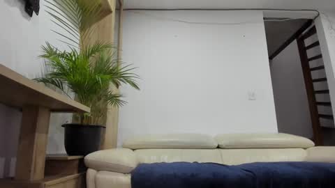 Domi online show from February 28, 2025, 11:14 am