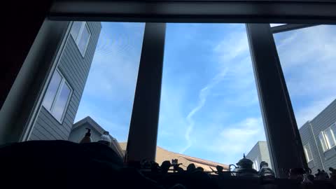 Snapshot of masturbatingmariamiller chatting on February 4, 2026, 8:47 pm masturbatingmariamiller online show from February 4, 2026, 8:47 pm