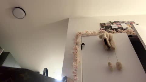 Snapshot of masturbatingmariamiller chatting on February 7, 2026, 6:06 am masturbatingmariamiller online show from February 7, 2026, 6:06 am