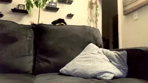 masturbationsession69 online show from January 8, 2026, 6:37 am