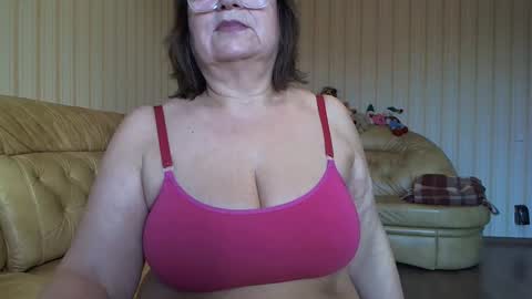 Cat online show from January 21, 2025, 8:08 am