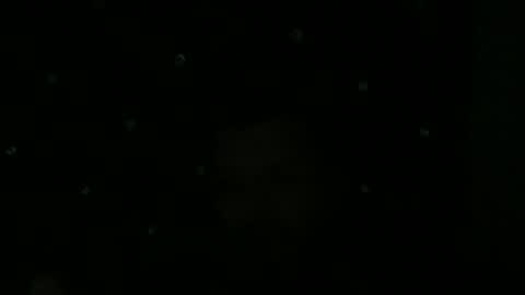 maurodcali online show from June 1, 2026, 2:02 am