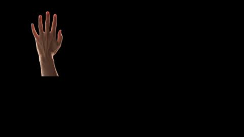 Snapshot of max_original chatting on February 24, 2025, 4:26 pm Future Max online show from February 24, 2025, 4:26 pm