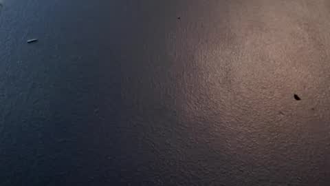 Snapshot of maxwellandpam chatting on January 29, 2025, 5:09 am Max and Pam Voyeur Cam online show from January 29, 2025, 5:09 am