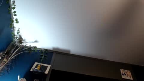 Snapshot of maxwellandpam chatting on February 16, 2025, 7:48 am Max and Pam Voyeur Cam online show from February 16, 2025, 7:48 am