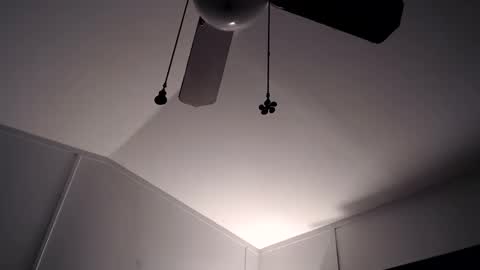 Snapshot of maxwellandpam chatting on November 28, 2025, 10:29 am Max and Pam Voyeur Cam online show from November 28, 2025, 10:29 am