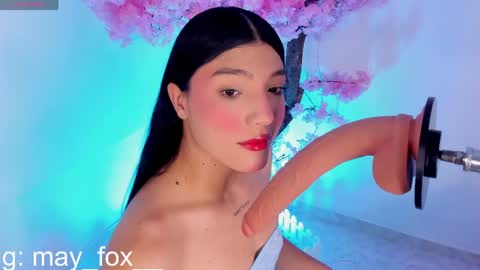 Snapshot of may_fox_ chatting on May 20, 2026, 3:24 am May online show from May 20, 2026, 3:24 am