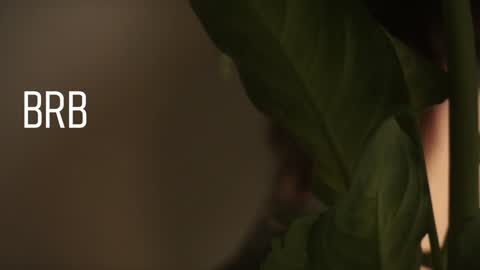 Snapshot of maymary_ chatting on December 28, 2024, 8:58 am Mary . online show from December 28, 2024, 8:58 am