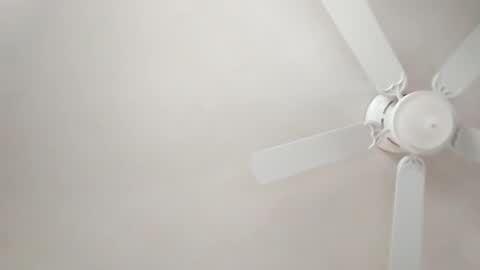 Snapshot of mcwire4 chatting on January 1, 2025, 5:44 pm mcwire4 online show from January 1, 2025, 5:44 pm