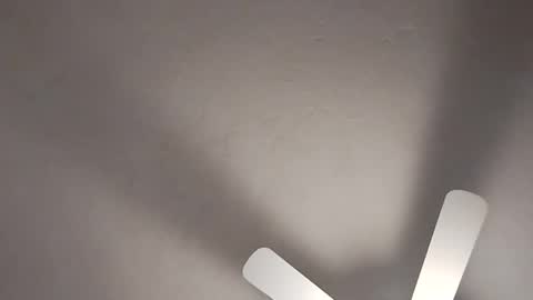 Snapshot of mcwire4 chatting on January 19, 2025, 8:41 pm mcwire4 online show from January 19, 2025, 8:41 pm