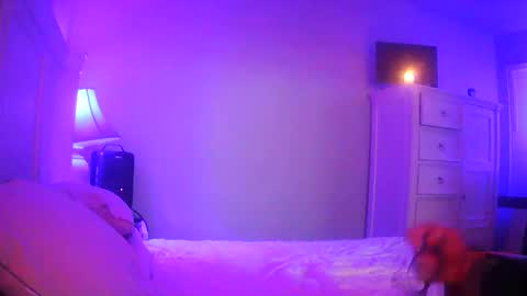 Snapshot of mecrago chatting on January 14, 2026, 8:09 am mecrago online show from January 14, 2026, 8:09 am