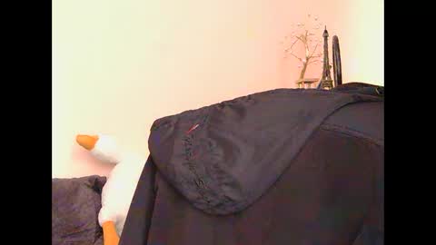 Oltereodora-lima online show from November 13, 2025, 7:29 am