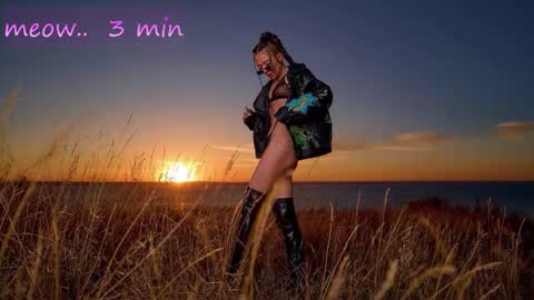 Snapshot of meeeeeow08 chatting on November 17, 2025, 1:00 am Sweet Meow nonude online show from November 17, 2025, 1:00 am