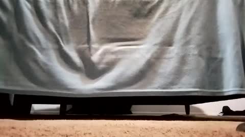 megacock420420 online show from December 10, 2024, 2:27 am