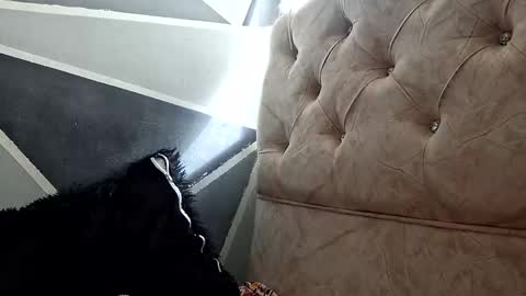 Megan and sophi online show from October 20, 2025, 1:33 pm