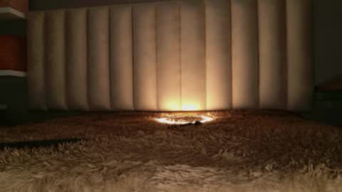     online show from March 18, 2026, 12:52 pm