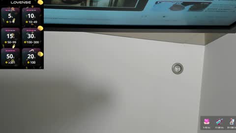 Snapshot of megane__fox chatting on January 12, 2025, 5:01 pm Megan online show from January 12, 2025, 5:01 pm