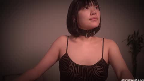 Snapshot of meganmei666 chatting on November 22, 2025, 2:54 am for more 3 online show from November 22, 2025, 2:54 am