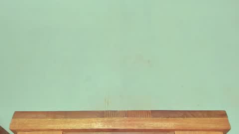 Snapshot of melania_browis chatting on March 1, 2025, 6:24 am Melania online show from March 1, 2025, 6:24 am