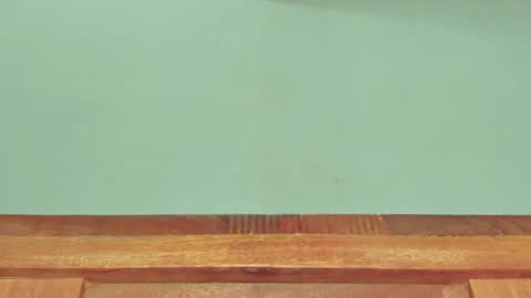 Snapshot of melania_browis chatting on March 1, 2025, 12:34 pm Melania online show from March 1, 2025, 12:34 pm