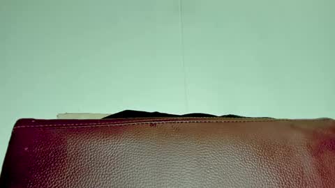 Snapshot of melania_browis chatting on November 6, 2025, 3:51 am Melania online show from November 6, 2025, 3:51 am