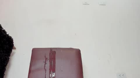 Snapshot of melania_browis chatting on January 13, 2026, 6:02 pm Melania online show from January 13, 2026, 6:02 pm