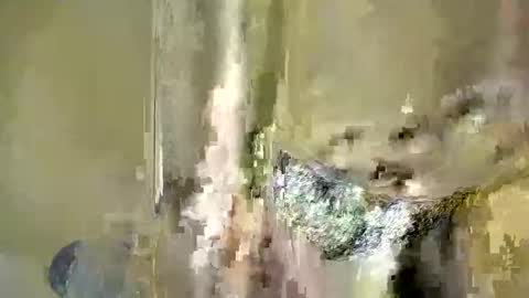 Baby online show from December 4, 2025, 6:38 pm