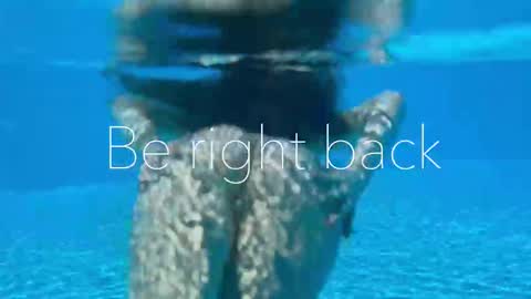 Adel online show from February 16, 2026, 4:03 pm