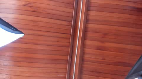 Melissa  Everyday From 1430 to 2130 Col Time online show from December 13, 2025, 7:40 pm