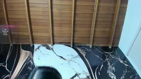  M e l i s s a  online show from January 15, 2026, 7:28 pm