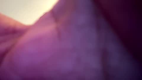 Snapshot of memolesta13 chatting on February 9, 2025, 2:06 am memolesta13 online show from February 9, 2025, 2:06 am