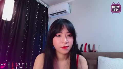 meowkami online show from September 25, 2025, 12:47 am