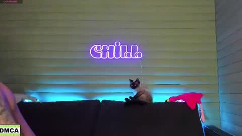 Snapshot of meowluv chatting on January 11, 2025, 3:31 pm NIKKY STIVE Every day from 1000 to 200 EST time. online show from January 11, 2025, 3:31 pm