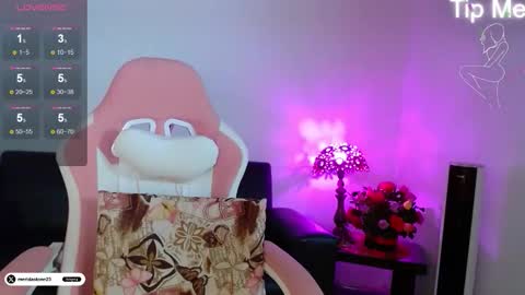 Snapshot of meridastonex chatting on February 18, 2026, 11:44 pm Merida online show from February 18, 2026, 11:44 pm