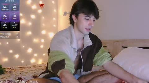 Snapshot of merry_mark chatting on January 15, 2026, 8:56 pm Mark online show from January 15, 2026, 8:56 pm