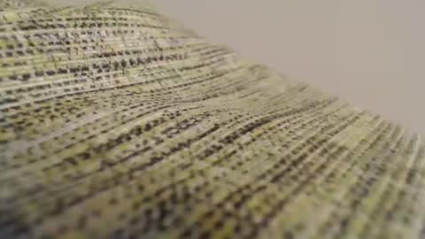 Snapshot of mesmerize88 chatting on February 11, 2025, 8:52 pm Mauro online show from February 11, 2025, 8:52 pm