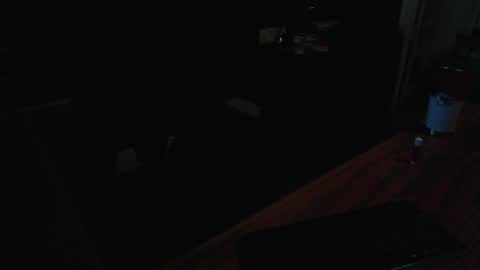 Snapshot of methorny chatting on February 2, 2026, 4:11 am methorny online show from February 2, 2026, 4:11 am