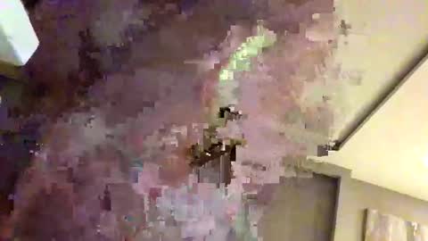 mi45419 online show from February 22, 2026, 3:29 am